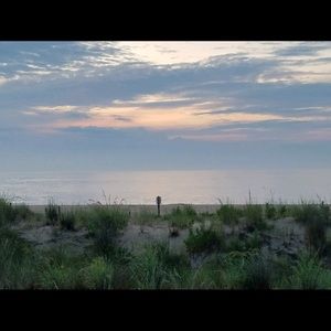 Meet your Posher, Leslie